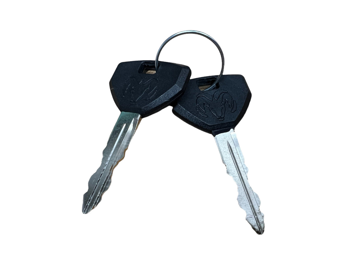 1994-2001 Ram 1500 2500 Ignition Lock Cylinder & Starter Switch 2 Keys New