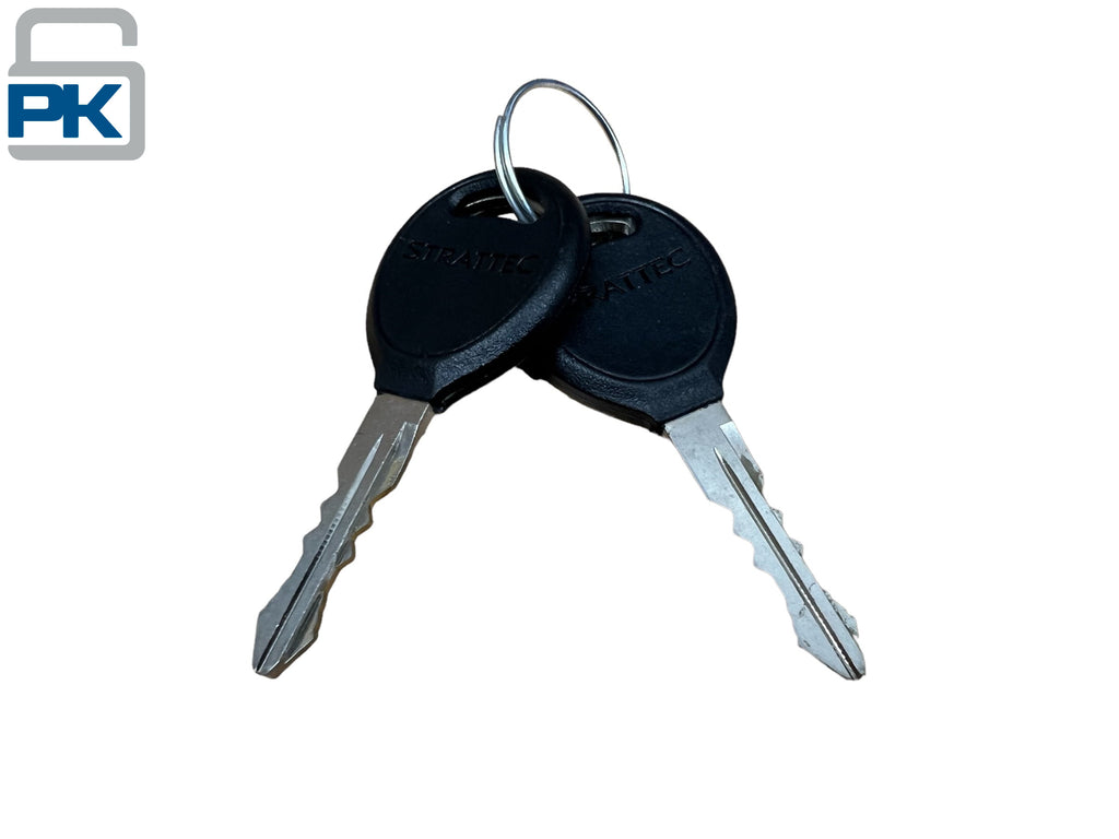 2001 & Up Liberty Neon Wrangler Ignition Lock Cylinder New