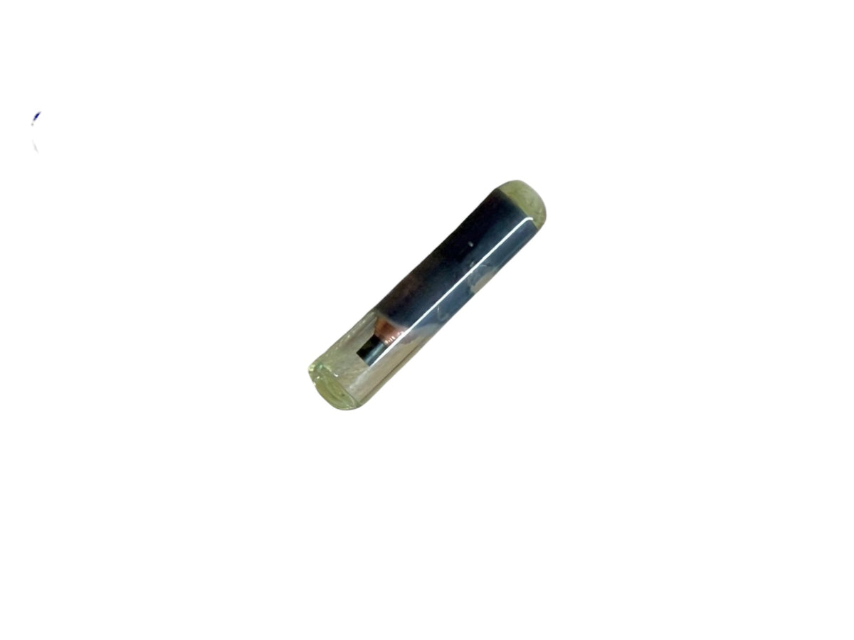 Megamos 48 CAN Transponder Chip TP25 For Audi (OEM)