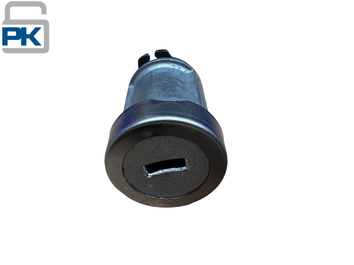 2004 & Up Focus F-150 F-250 F-350 Ignition Lock Cylinder 2 Keys New Genuine OEM AU5Z-11582-B